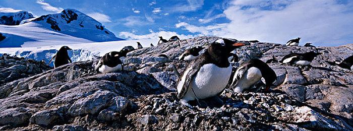 芝村裕吏青春RPG《循环8降神》发售 官方贺图同时公布